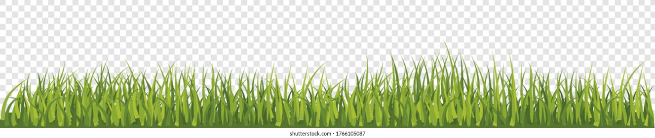 Realistic green grass lawn, border or meadow on transparent background. vector illustration.
