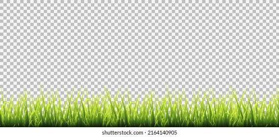 Realistic green grass meadow border isolated on transparent background. Template design for park, yard, garden natural landscape decoration, rural fields scenery. Spring or summer plant field lawn