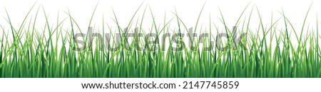 Realistic green grass. Natural field seamless border