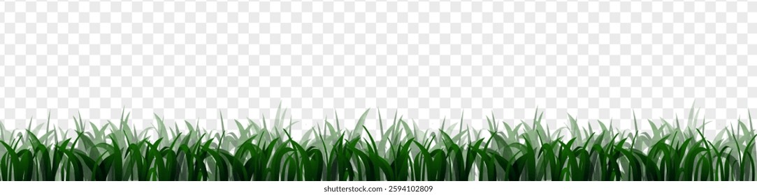 Realistic green grass on a transparent background. Vector. Eps10