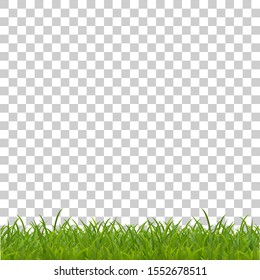 Realistic Green Grass Spring Grass Field Stock Vector Royalty Free
