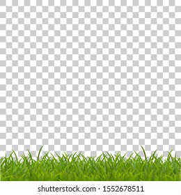 Realistic green grass. Spring grass, field, nature on a transparent background