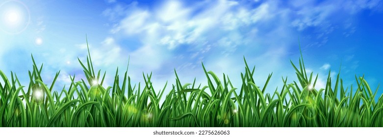 Realistic green grass under blue sky. Vector illustration of fresh herbs growing in field with morning dew drops sparkling in sun and peaceful skyline with white clouds. Beautiful nature background svg