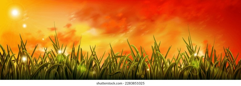 Realistic green grass under orange sunrise sky. Vector illustration of fresh herbs growing in field, morning dew drops sparkling in sun. Dramatic sunset skyline with golden clouds. Beautiful nature svg