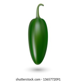 realistic Green hot natural jalapenoi pepper, isolated image with shadow vector illustration