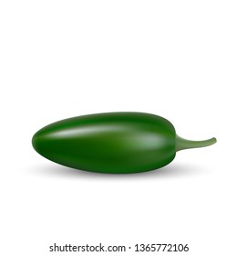 realistic Green hot natural jalapenoi pepper, isolated image with shadow vector illustration