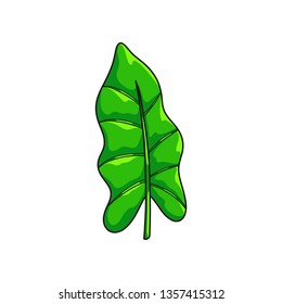 Realistic green jungle leaf isolated on white background