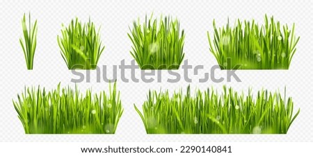 Similar – Image, Stock Photo Long green grass that moves in the wind