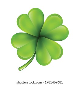 Realistic green leaf clover on white background Vector
