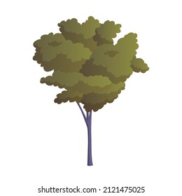 Realistic green leafy bush isolated on white background - Vector illustration
