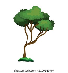 Realistic green leafy bush isolated on white background - Vector illustration
