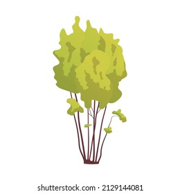 Realistic green leafy bush isolated on white background - Vector illustration