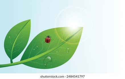 Realistic Green Leaves Background with Ladybug. Nature and insects concept vector