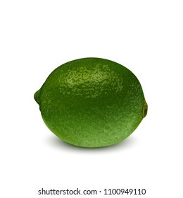 Realistic green lime, lemon. 3d Vector illustration EPS 10. 