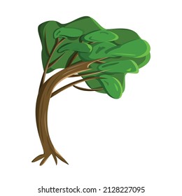Realistic green old tall tree isolated on white background - Vector illustration