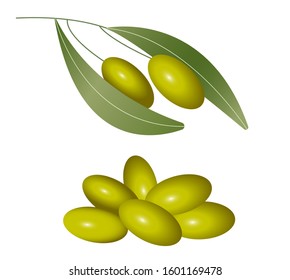 Realistic green olive on a branch with leaves. Handful of olive berries on an isolated white background. Concept: healthy eating, wholesome foods and natural cosmetics. Vector illustration, eps 10.