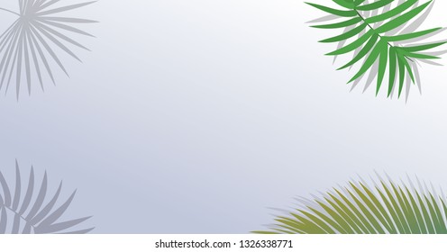 Realistic green palm leaf branches on white background.