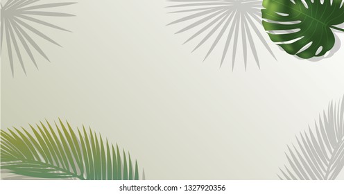 Realistic green palm leaf branches on white background.