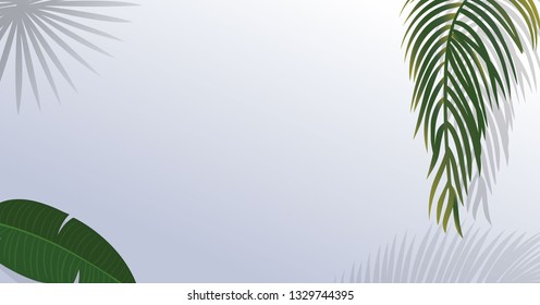 Realistic green palm leaf branches on white background.