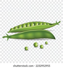 Realistic green pea isolated vector illustration