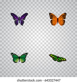 Realistic Green Peacock, Birdwing, Danaus Plexippus And Other Vector Elements. Set Of Butterfly Realistic Symbols Also Includes Green, Monarch, Purple Objects.