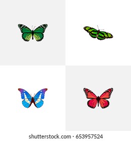 Realistic Green Peacock, Bluewing, Azure Peacock And Other Vector Elements. Set Of Beauty Realistic Symbols Also Includes Bluewing, Fly, Pink Objects.