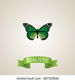 Realistic Green Peacock Element. Vector Illustration Of Realistic Birdwing Isolated On Clean Background. Can Be Used As Malachite, Butterfly And Green Symbols.