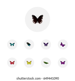 Realistic Green Peacock, Polyommatus Icarus, Archippus And Other Vector Elements. Set Of Moth Realistic Symbols.