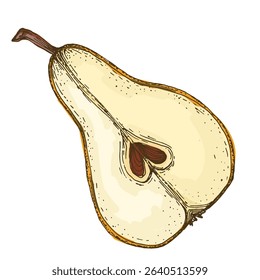Realistic green pear fruit vector illustration isolated on white background, fresh organic healthy food clipart for packaging design, branding, labels, posters, eco product, and kitchen decor