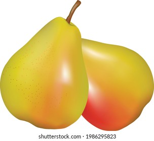 realistic green pear isolated on white background. Vector illustration.