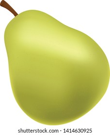 Realistic green pear. Pear  vector web icon isolated on white background, EPS 10, top view