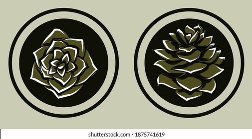 Realistic green pine cone covered in snow. View from top and side. Vector