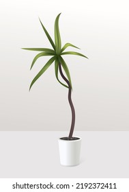 Realistic green plant in white pot in the interior. Palm tree tropical house plant. Gardening and home decoration floral concept. Vector illustration.