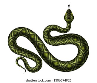 Realistic green python vector illustration. Isolated tropical snake on white background