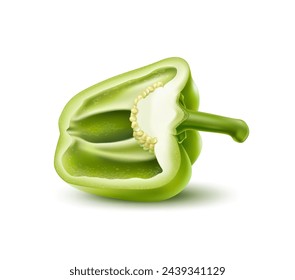 Realistic green raw half bell pepper vegetable or organic farm food veggie, isolated vector. Fresh ripe green bell pepper cut in half, realistic object in macro closeup or 3D for natural food cuisine