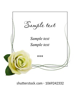 Realistic green rose, card.