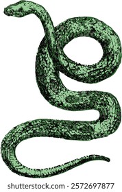 Realistic green snake with detailed skin texture, depicted in high quality