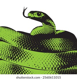 Serpiente verde realista. Ilustración vectorial