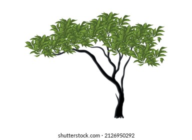 Realistisch grüner Sprottenbaum einzeln auf weißem Hintergrund - Vektorgrafik