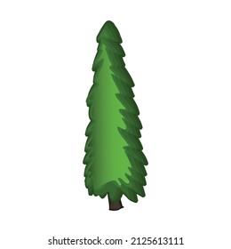 Realistic green spruce isolated on white background - Vector illustration