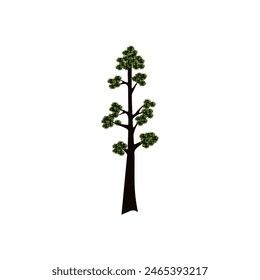 Realistic green tallest tree in the world sequoia on a white background. Vector illustration