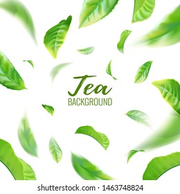 Realistic Green Tea Leaves Background For Advertising Poster. Vector Illustration