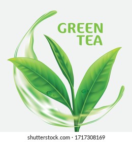 Realistic green tea leaves background for advertising poster. Vector illustration