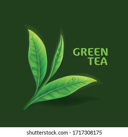 Realistic green tea leaves background for advertising poster. Vector illustration