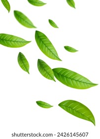 Hojas de té verde realistas en movimiento sobre un fondo blanco. Fondo con hojas voladoras de primavera verde. Ilustración de vector