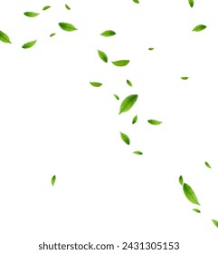 Realistic green tea leaves in motion on a white background. Background with flying green spring leaves. Vector illustration