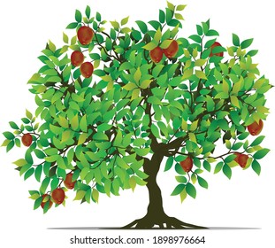 Realistic green tree and red apple isolated on white background. Vector illustration