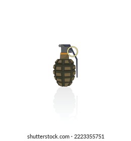 Realistische grenade, Vektorgrafik und Grafik