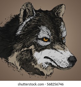 Realistic grunge wolf . colorful