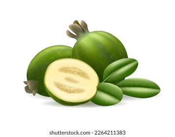 Realistic guavasteen. Feijoa sellowiana whole half fruits and lives isolated on white background, asian healthy green natural organic diet berries vector illustration
